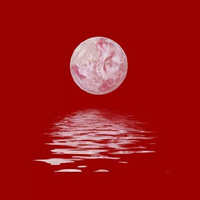粉色丽人 时尚炫音