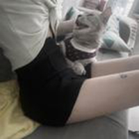 陈思思
