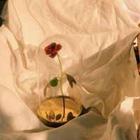 酒吧dj舞曲视频线
