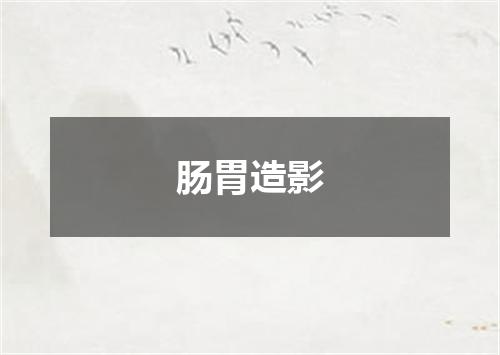 肠胃造影