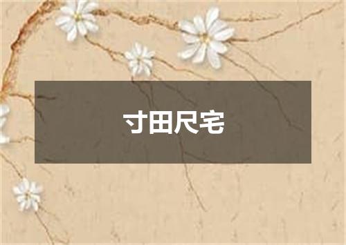 寸田尺宅