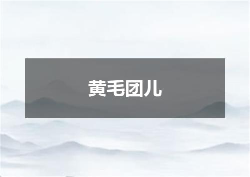 黄毛团儿