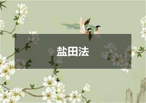 盐田法