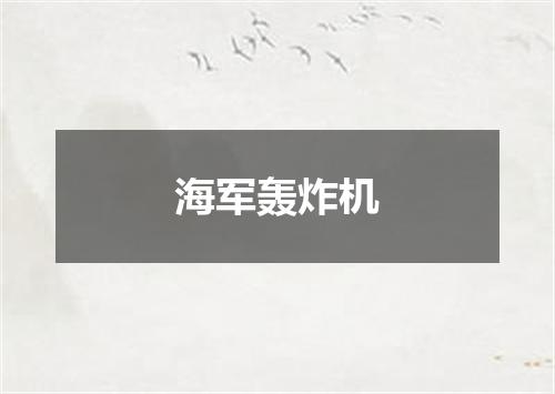海军轰炸机