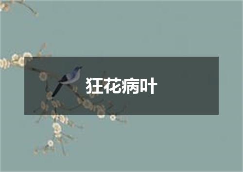 狂花病叶