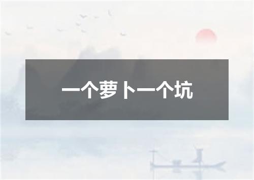 一个萝卜一个坑