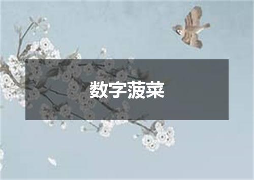 数字菠菜