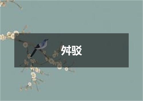 舛驳