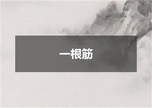 一根筋