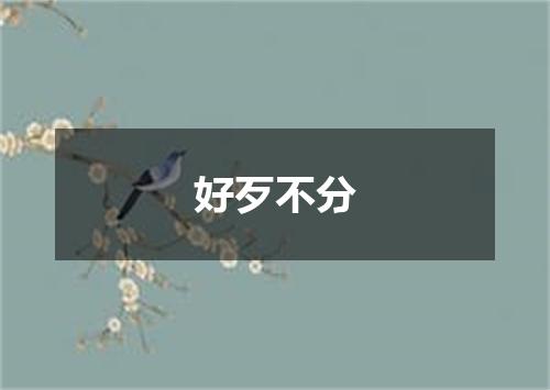 好歹不分