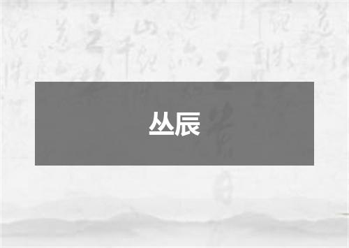 丛辰
