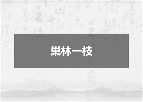 巢林一枝