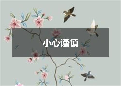 小心谨慎