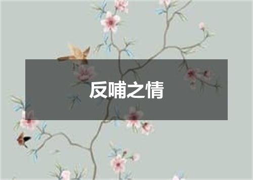 反哺之情