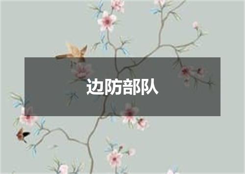 边防部队