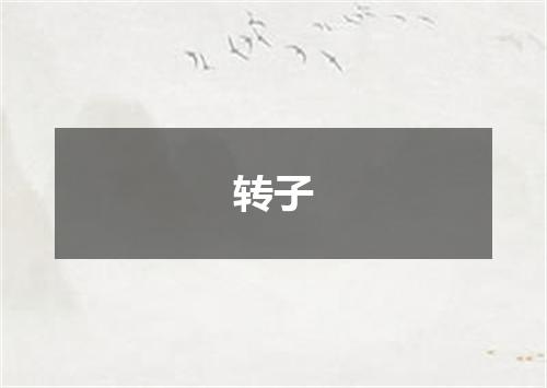 转子
