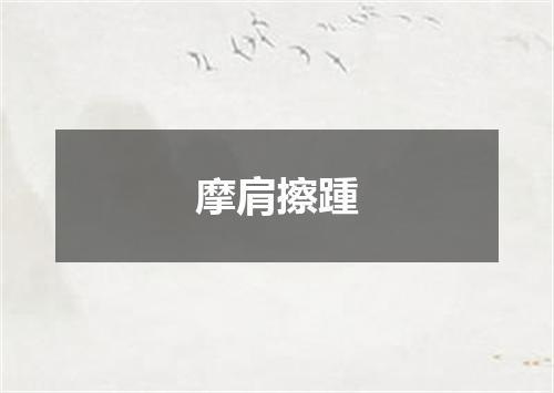 摩肩擦踵