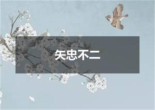 矢忠不二