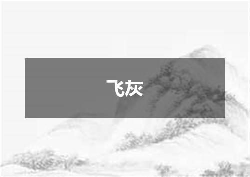 飞灰
