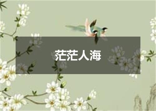 茫茫人海
