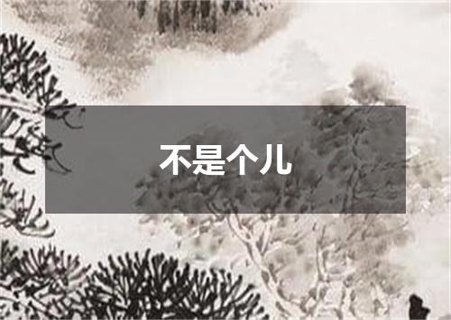 不是个儿