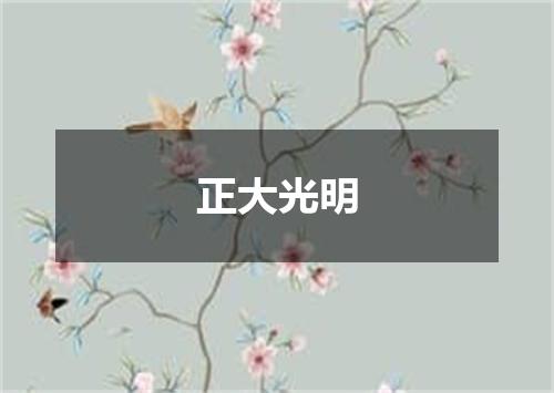 正大光明