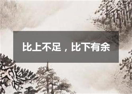 比上不足，比下有余