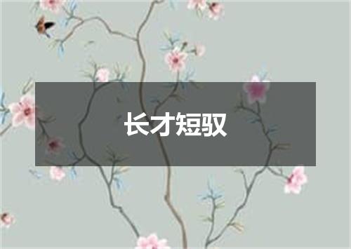 长才短驭