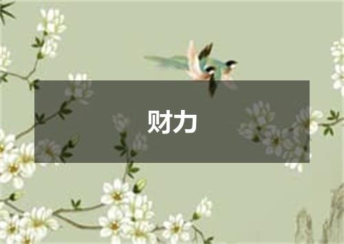 财力