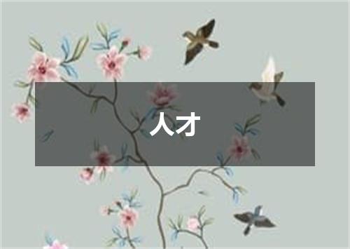 人才