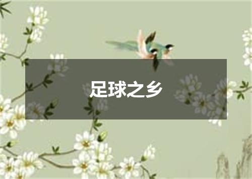 足球之乡
