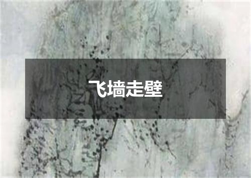 飞墙走壁