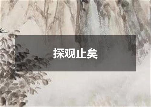 探观止矣
