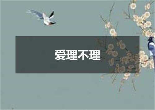 爱理不理
