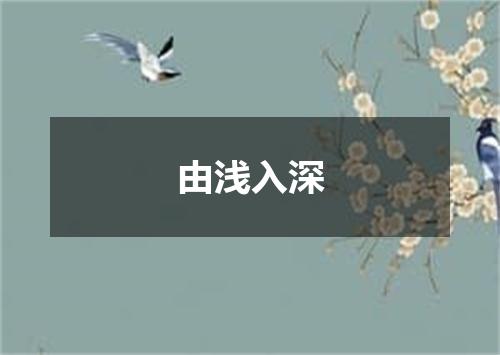 由浅入深