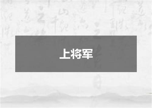 上将军