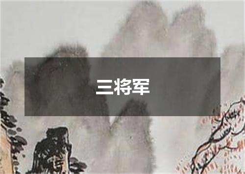 三将军