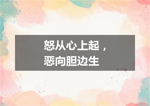 怒从心上起，恶向胆边生