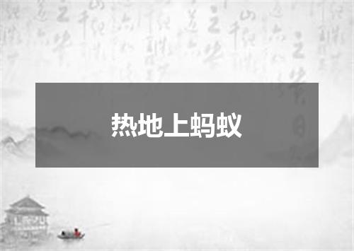 热地上蚂蚁