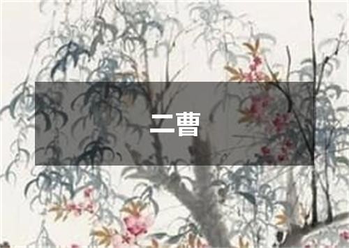 二曹