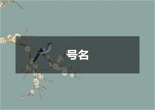 号名