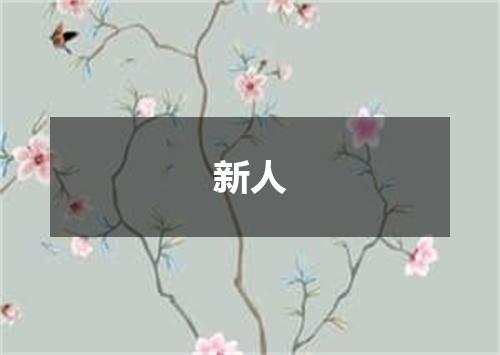 新人