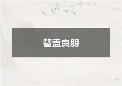 簪盍良朋