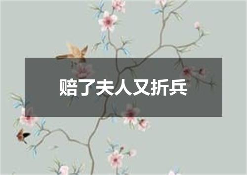 赔了夫人又折兵