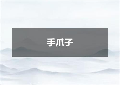 手爪子
