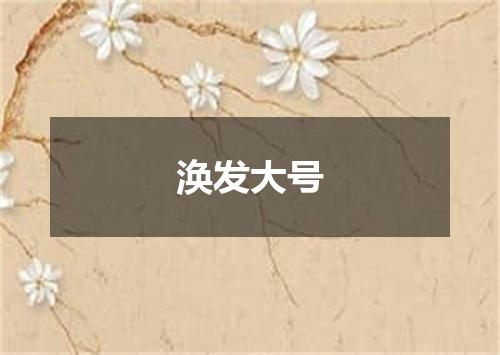 涣发大号