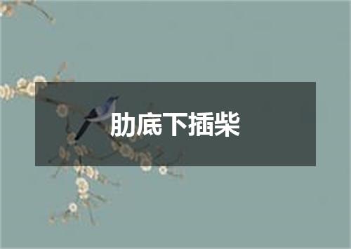 肋底下插柴