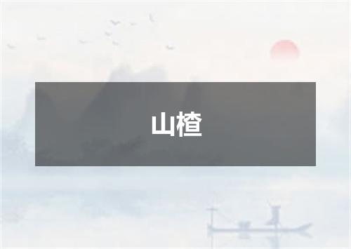 山楂