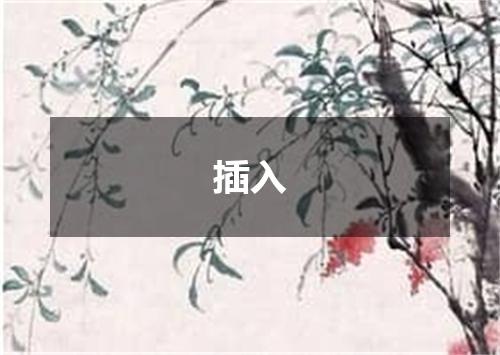 插入