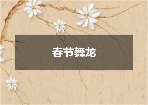 春节舞龙